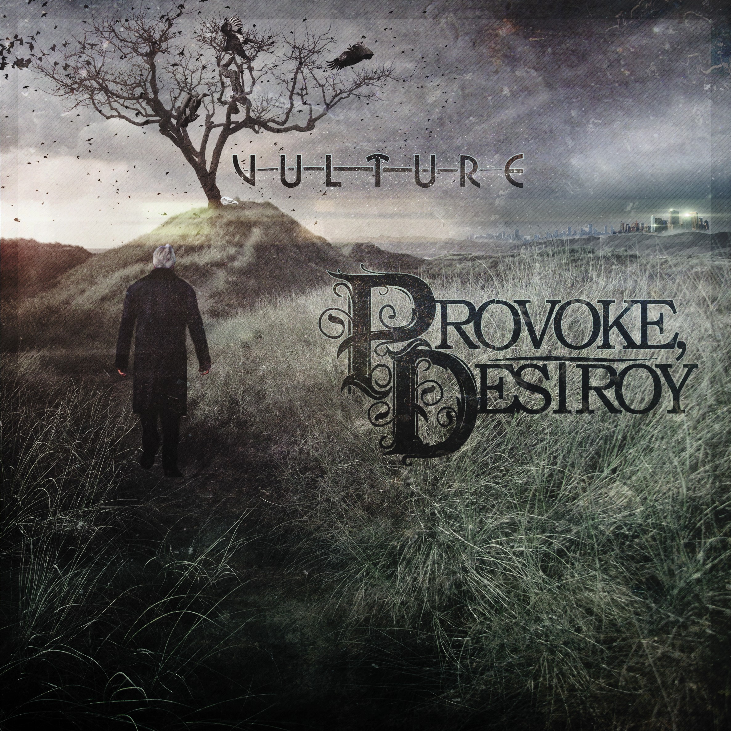 Vulture cover art
